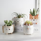 Mimi ceramic flower pot