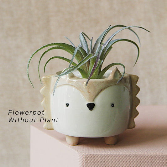 Mimi ceramic flower pot