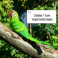 MC Resin Parrot Statue