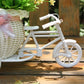 Bicycle shape Flower Basket