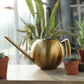 Mimi Stainless Steel Plants Pot