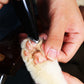 Rechargeable Mini Trimmer Set For Dogs Cats Pets