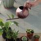 Mimi Stainless Steel Plants Pot