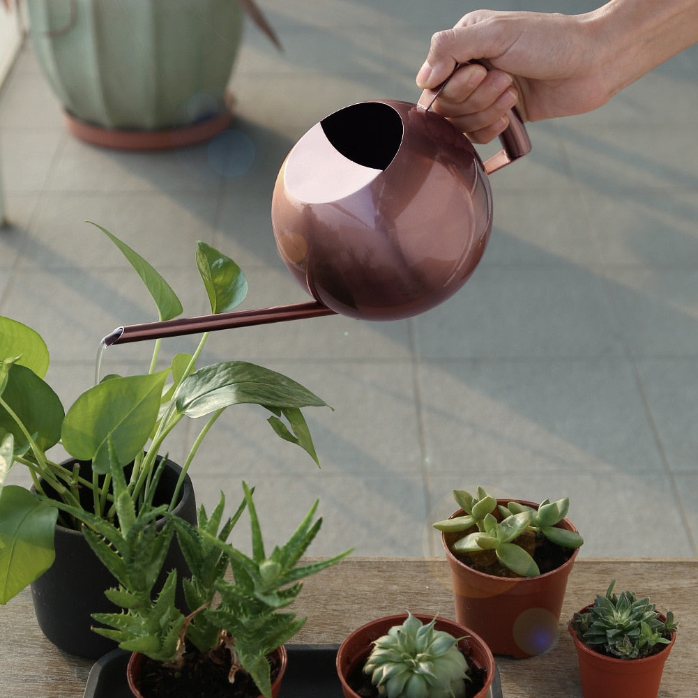 Mimi Stainless Steel Plants Pot