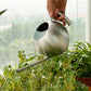Mimi Stainless Steel Plants Pot