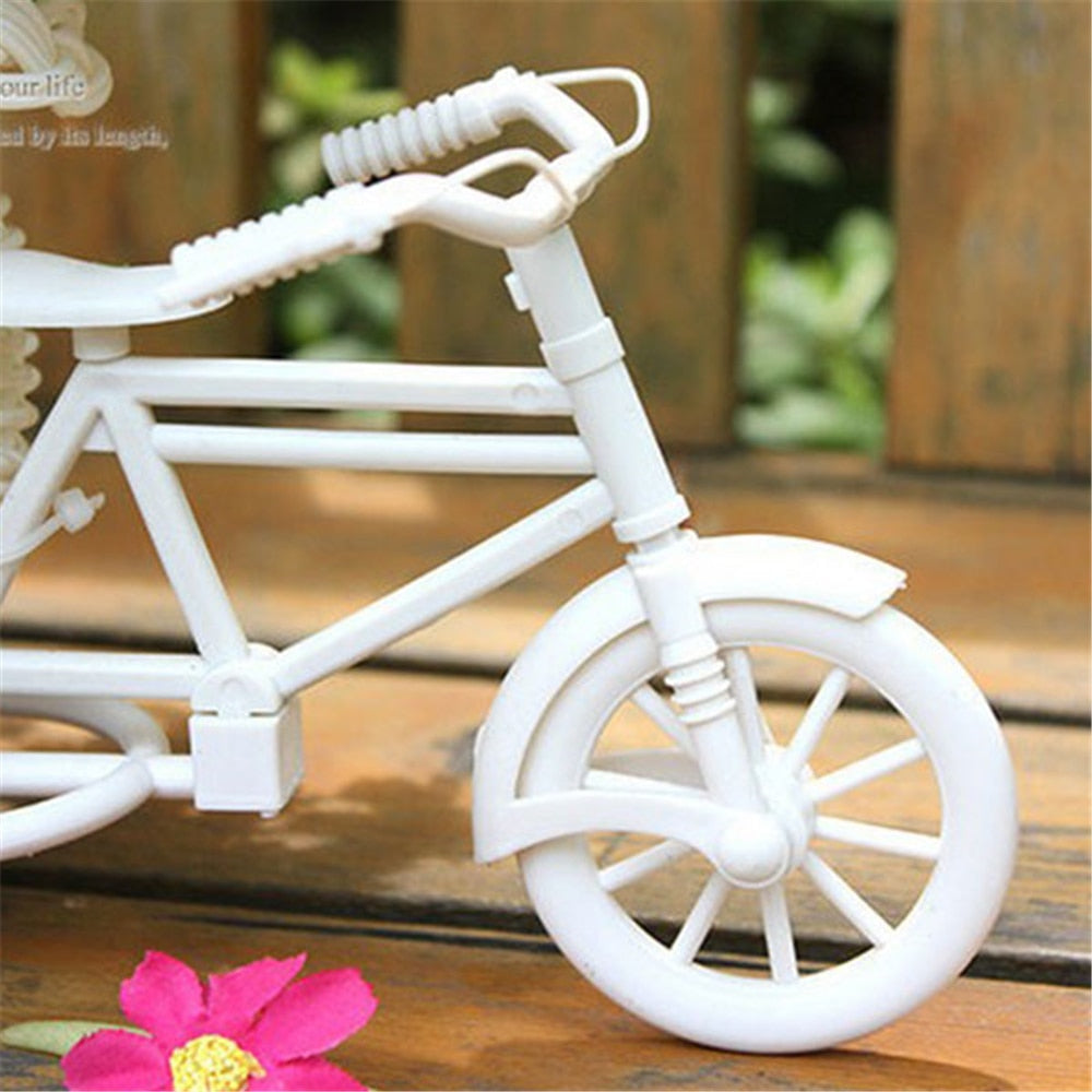 Bicycle shape Flower Basket