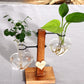 YITY Glass Wood Planter