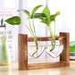 YITY Glass Wood Planter