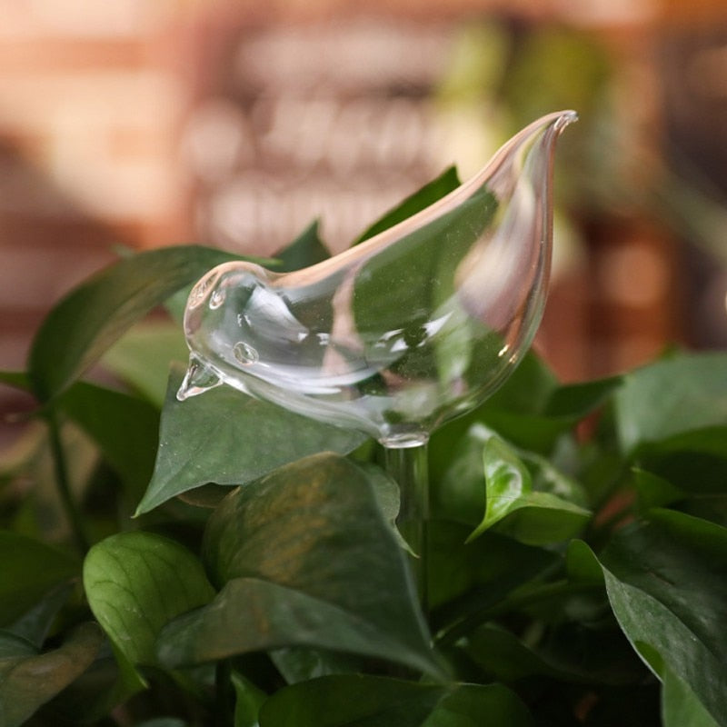 Automatic Self Watering Glass Bird