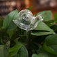 Automatic Self Watering Glass Bird