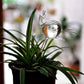 Automatic Self Watering Glass Bird