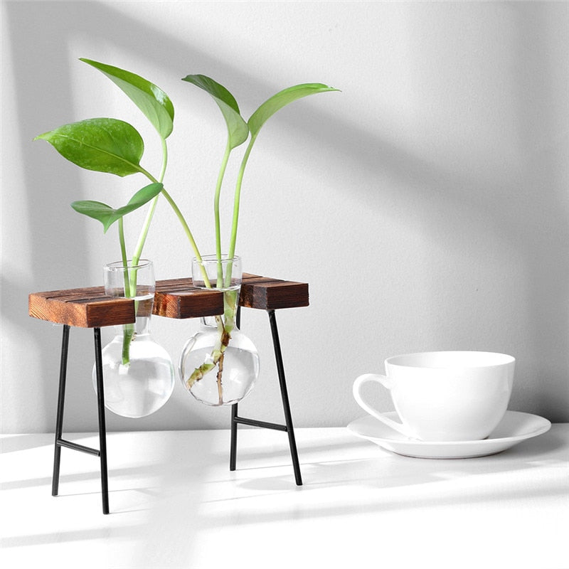 YITY Glass Wood Planter