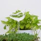 Automatic Self Watering Glass Bird