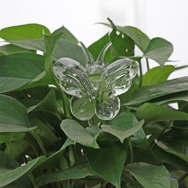 Automatic Self Watering Glass Bird