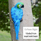 MC Resin Parrot Statue