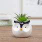 Cute Animal Ceramic Flower Pot