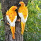 MC Resin Parrot Statue
