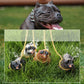 Bully Pitbull Dog - Creative Miniature