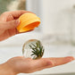 Light Bulbs Ice Ball Maker