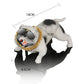 Bully Pitbull Dog - Creative Miniature
