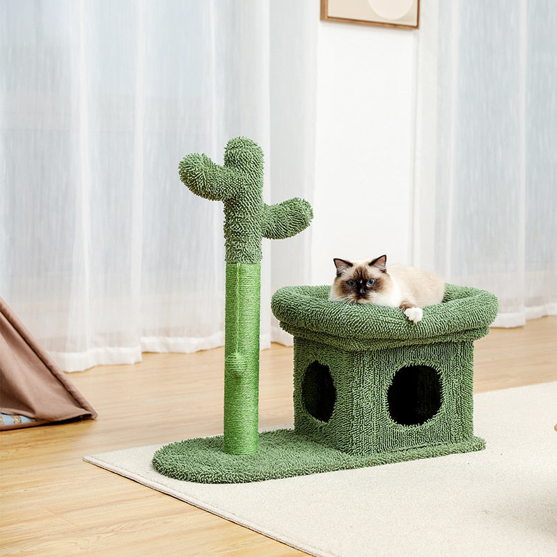 QT Cactus Tree Pet  Toy