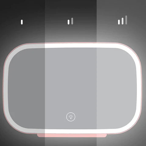 EVSA™ Sunvisor makeup LED light mirror