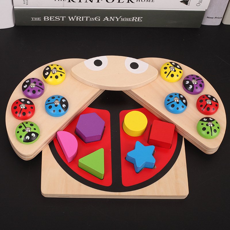 Magnetic Ladybug Puzzle Toy – Catch, Match & Learn